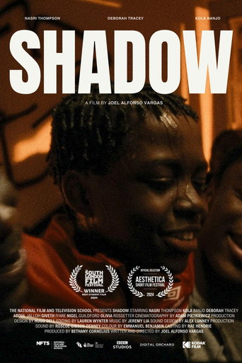 Póster de Shadow