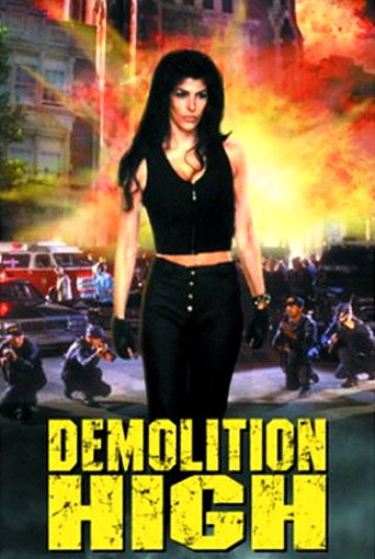 Póster de Demolition High