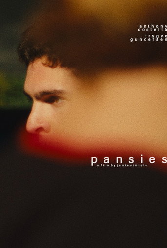 Póster de pansies