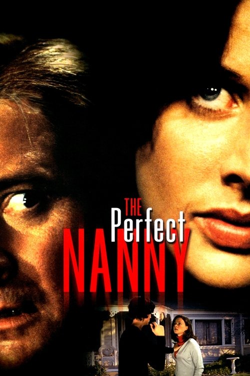 Póster de The Perfect Nanny