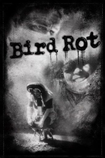 Póster de Bird Rot