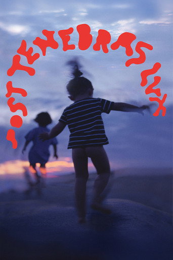Póster de Post Tenebras Lux