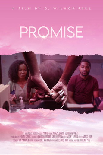 Póster de Promise