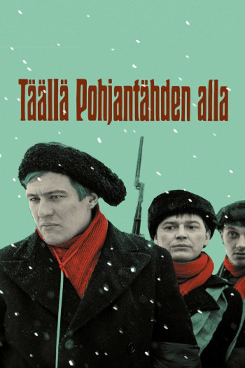 Póster de Täällä Pohjantähden alla