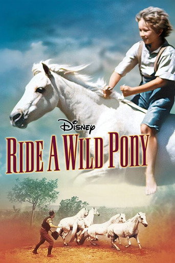 Póster de Ride a Wild Pony