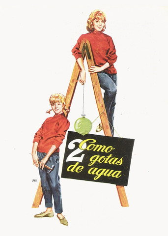 Póster de Como dos gotas de agua