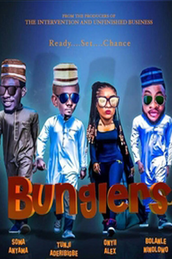 Póster de The Bunglers