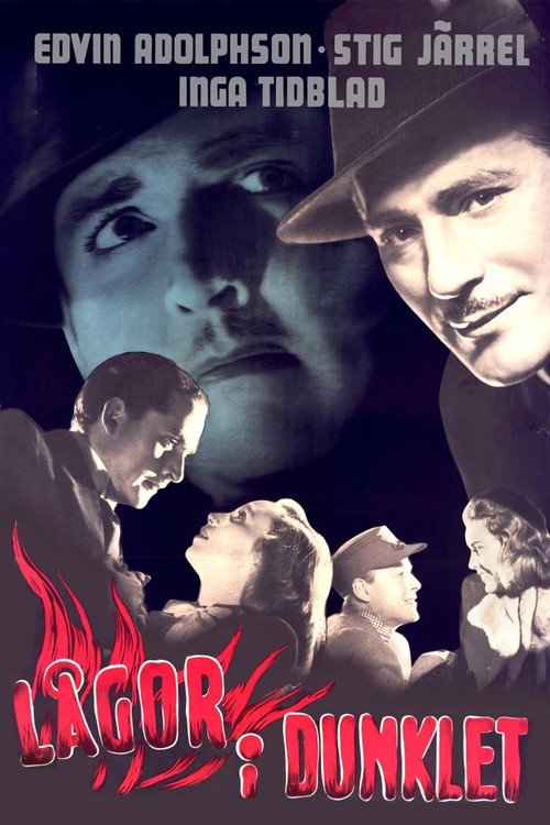 Póster de Lågor i dunklet
