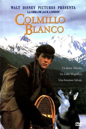 Póster de Colmillo blanco