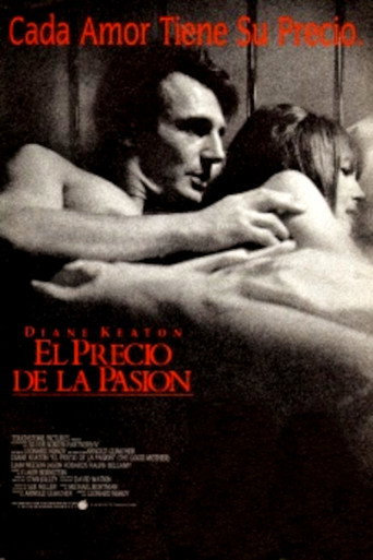 Póster de The Good Mother