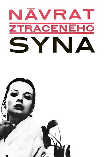 Póster de Návrat ztraceného syna