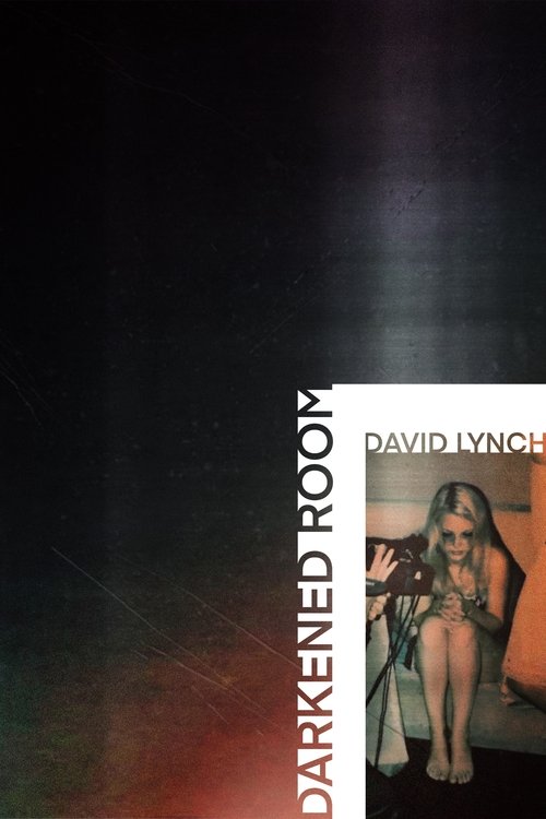 Póster de Darkened Room