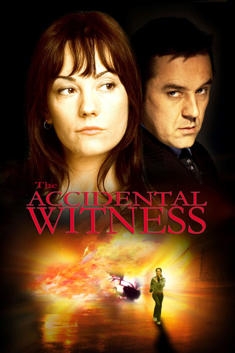 Póster de The Accidental Witness