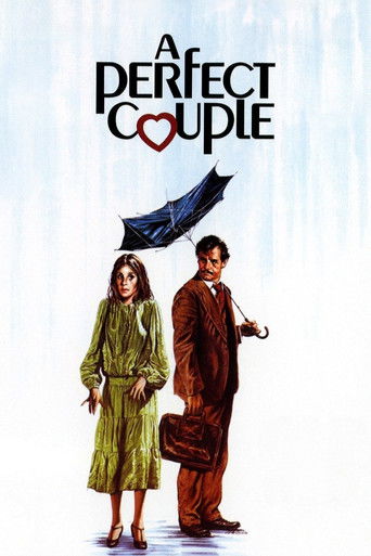 Póster de Una pareja perfecta
