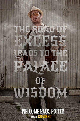 Póster de Welcome Back, Potter