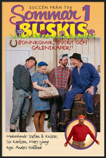 Póster de Sommarbuskis 1