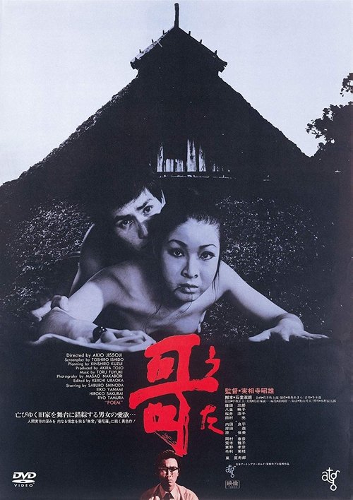 Póster de 哥