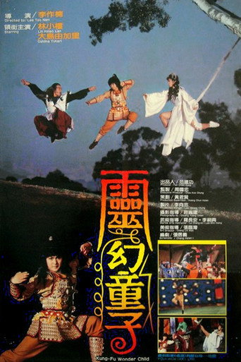 Póster de Kung Fu Wonder Child