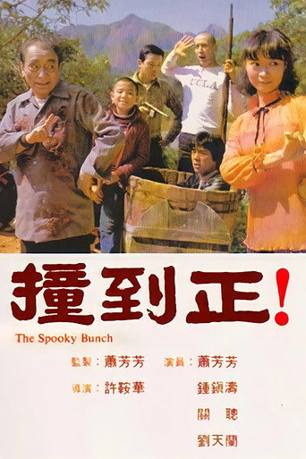 Póster de 撞到正！