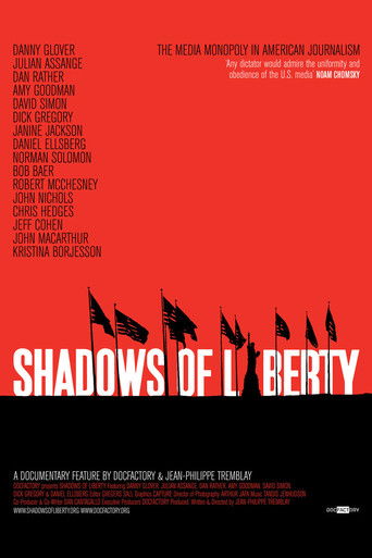 Póster de Shadows of Liberty