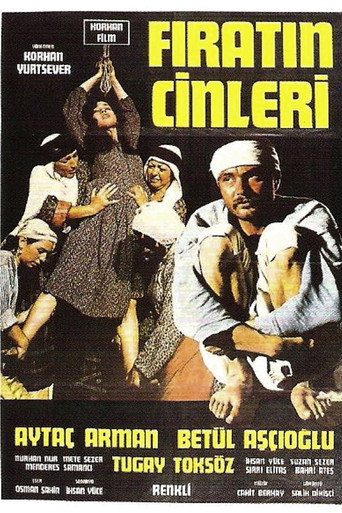 Póster de Fırat'ın Cinleri