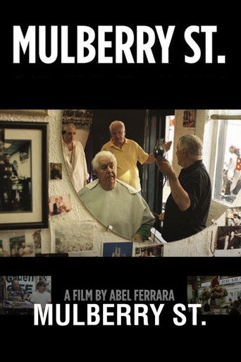 Póster de Mulberry St.