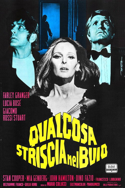Póster de Qualcosa striscia nel buio