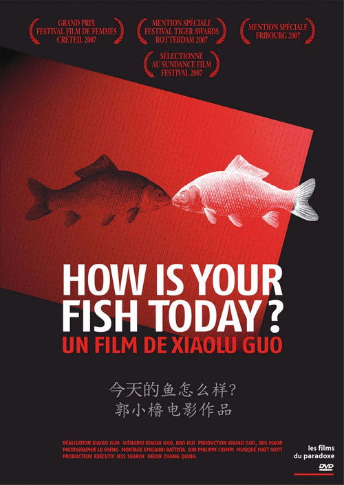 Póster de 今天的鱼怎么样？