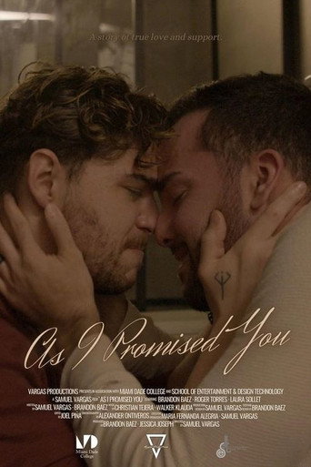 Póster de As I Promised You