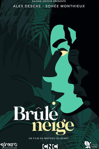 Póster de Brûlé neige