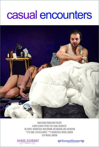 Póster de Casual Encounters