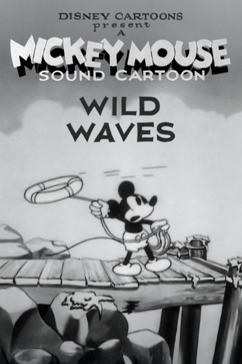 Póster de Wild Waves