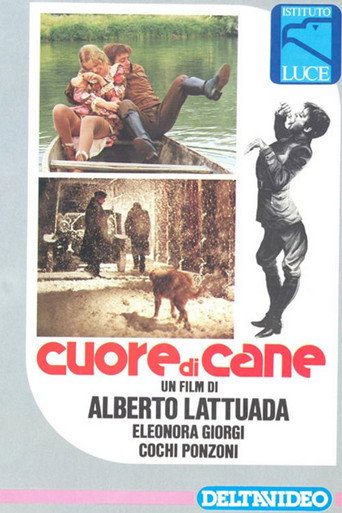 Póster de Cuore di cane