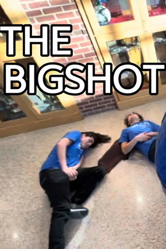 Póster de The Bigshot