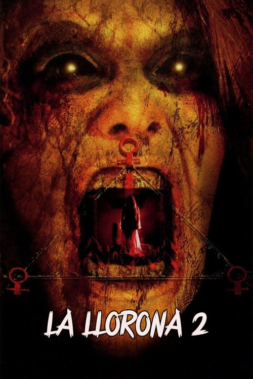 Póster de La llorona 2
