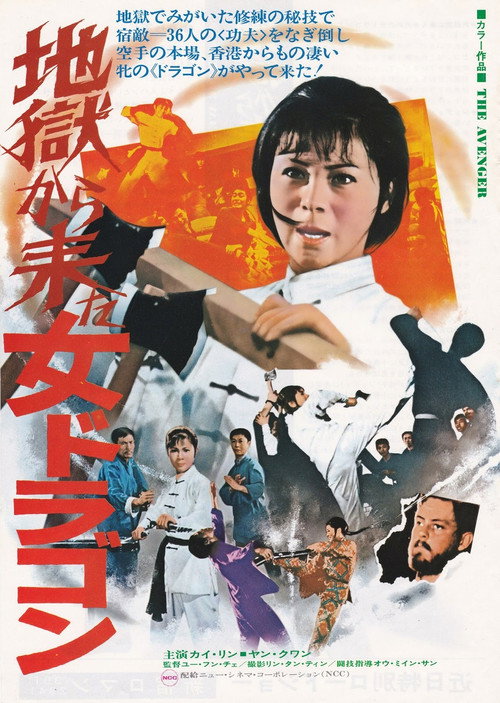 Póster de 仇