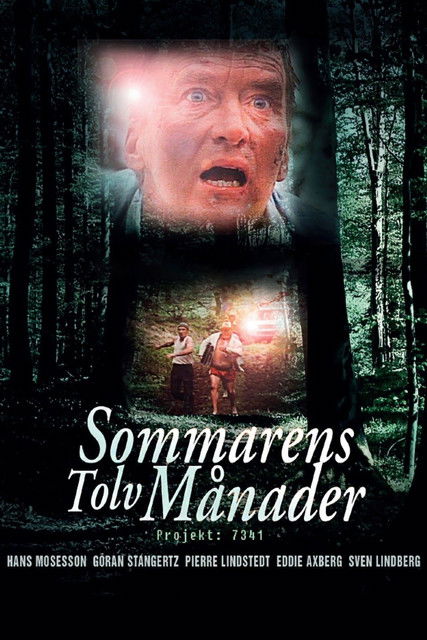 Póster de Sommarens Tolv Månader