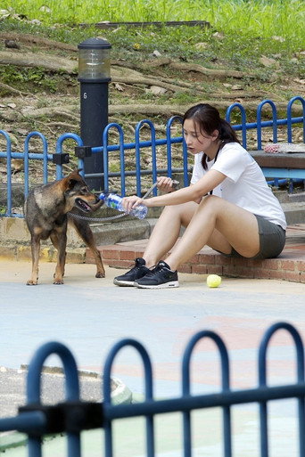 Póster de Puppy