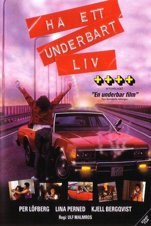 Póster de Ha ett underbart liv