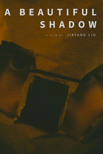Póster de A Beautiful Shadow