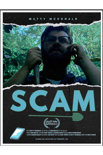 Póster de Scam