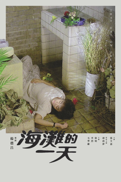 Póster de 海灘的一天