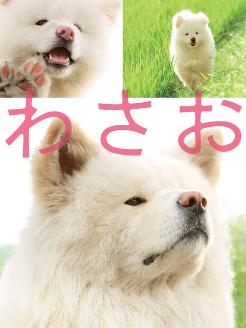 Póster de わさお