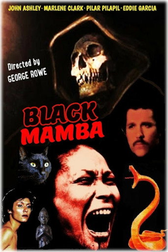 Póster de Black Mamba