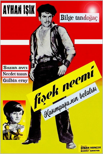 Póster de Fişek Necmi