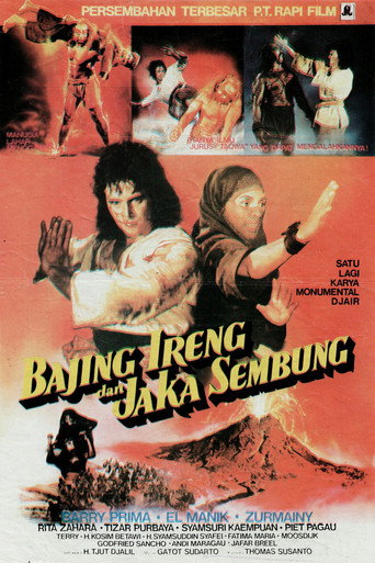Póster de Jaka Sembung & Bergola Ijo