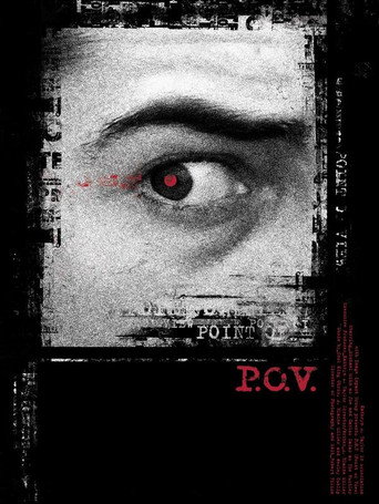 Póster de P.O.V.