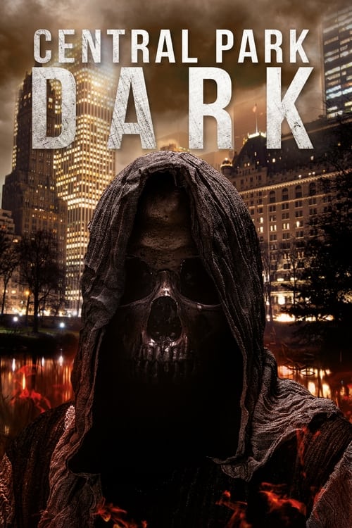 Póster de Central Park Dark