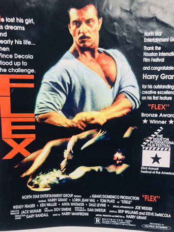 Póster de Flex