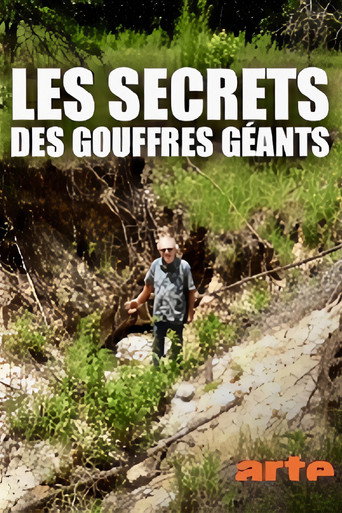 Póster de Les secrets des gouffres géants